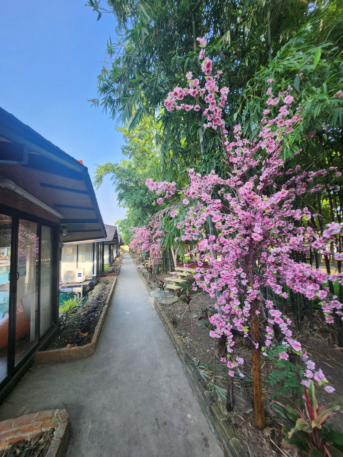 Manpai Sainam Cafe 包廂旁的粉色花景步道