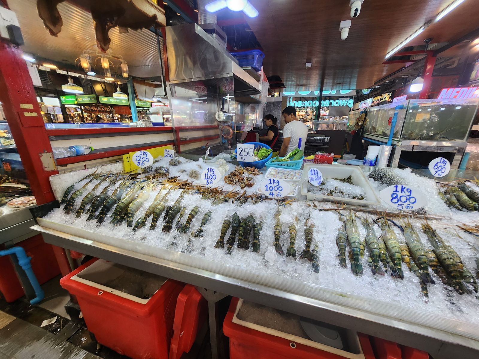 冰台上整齊陳列的新鮮水產