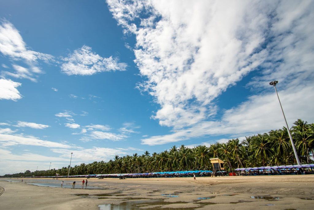 邦盛海灘 Bang Saen Beach 椰子樹與海岸景色