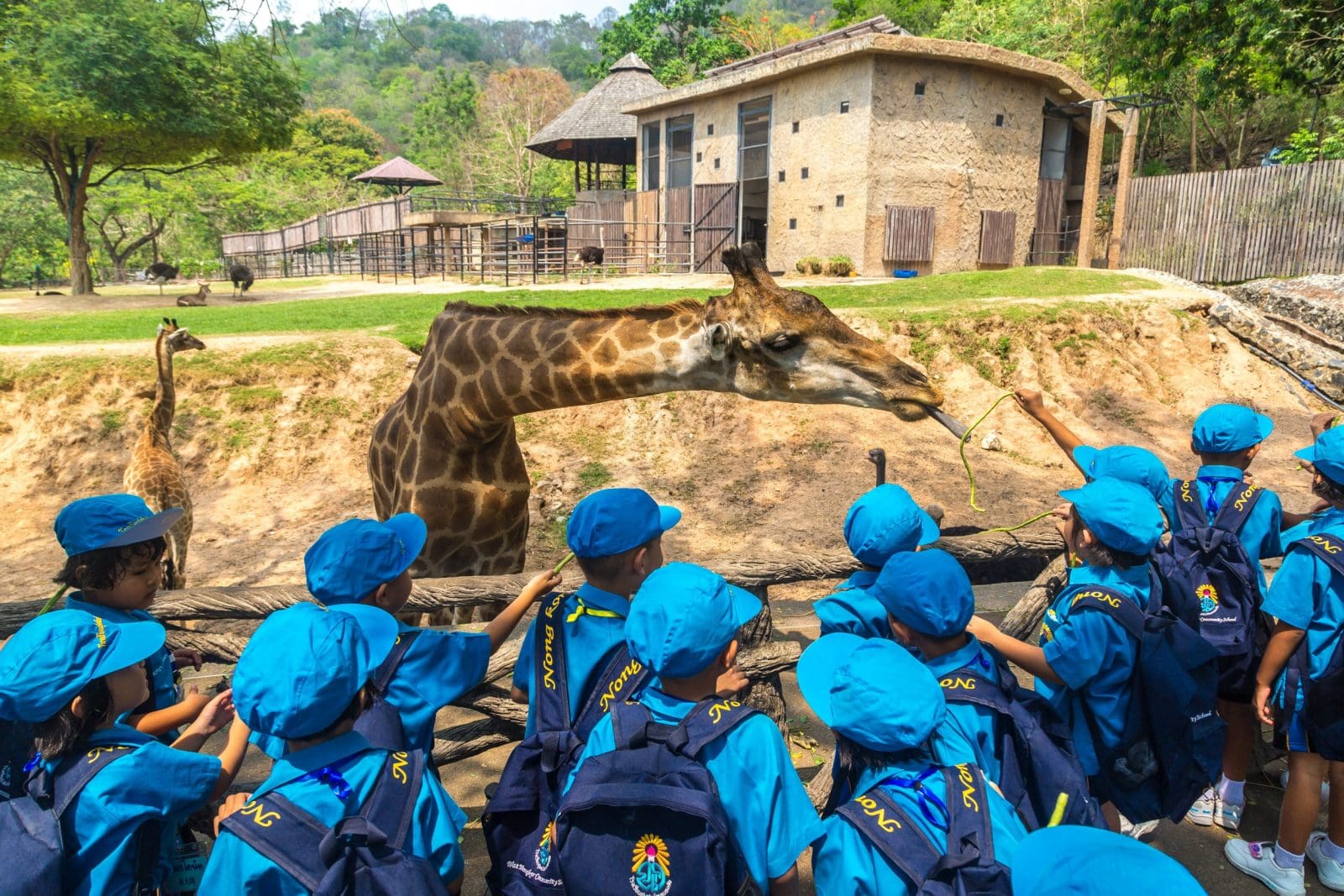 綠山野生動物園