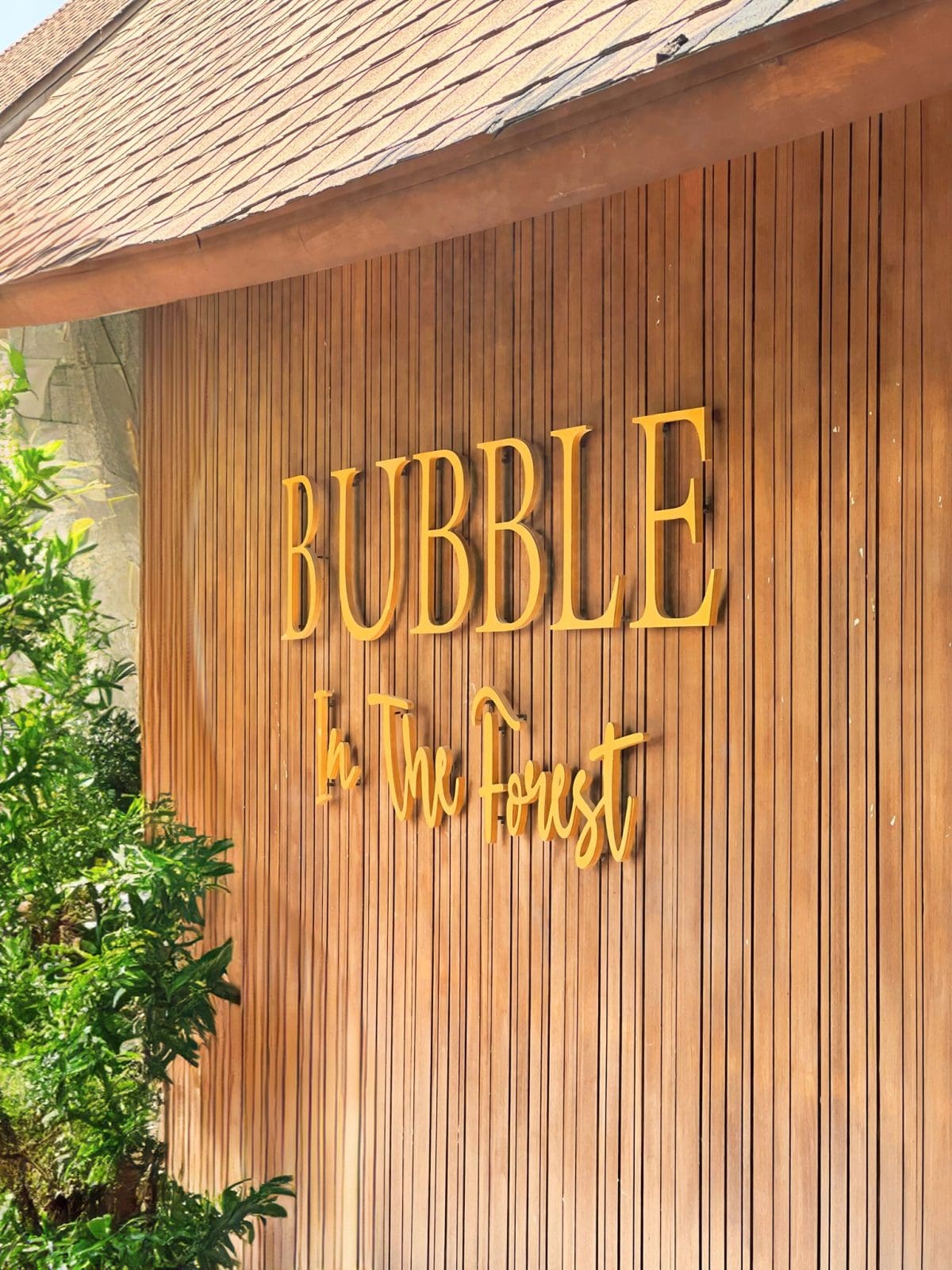 Bubble in the Forest 木牆店名招牌