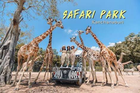 北碧野生動物園與曼谷河岸一日遊