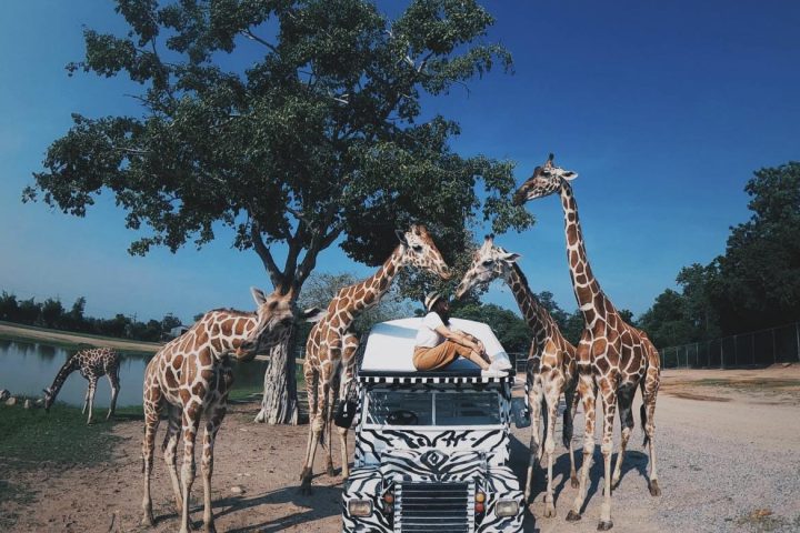 北碧深度包車5日遊｜野生動物園・大象營・死亡鐵路