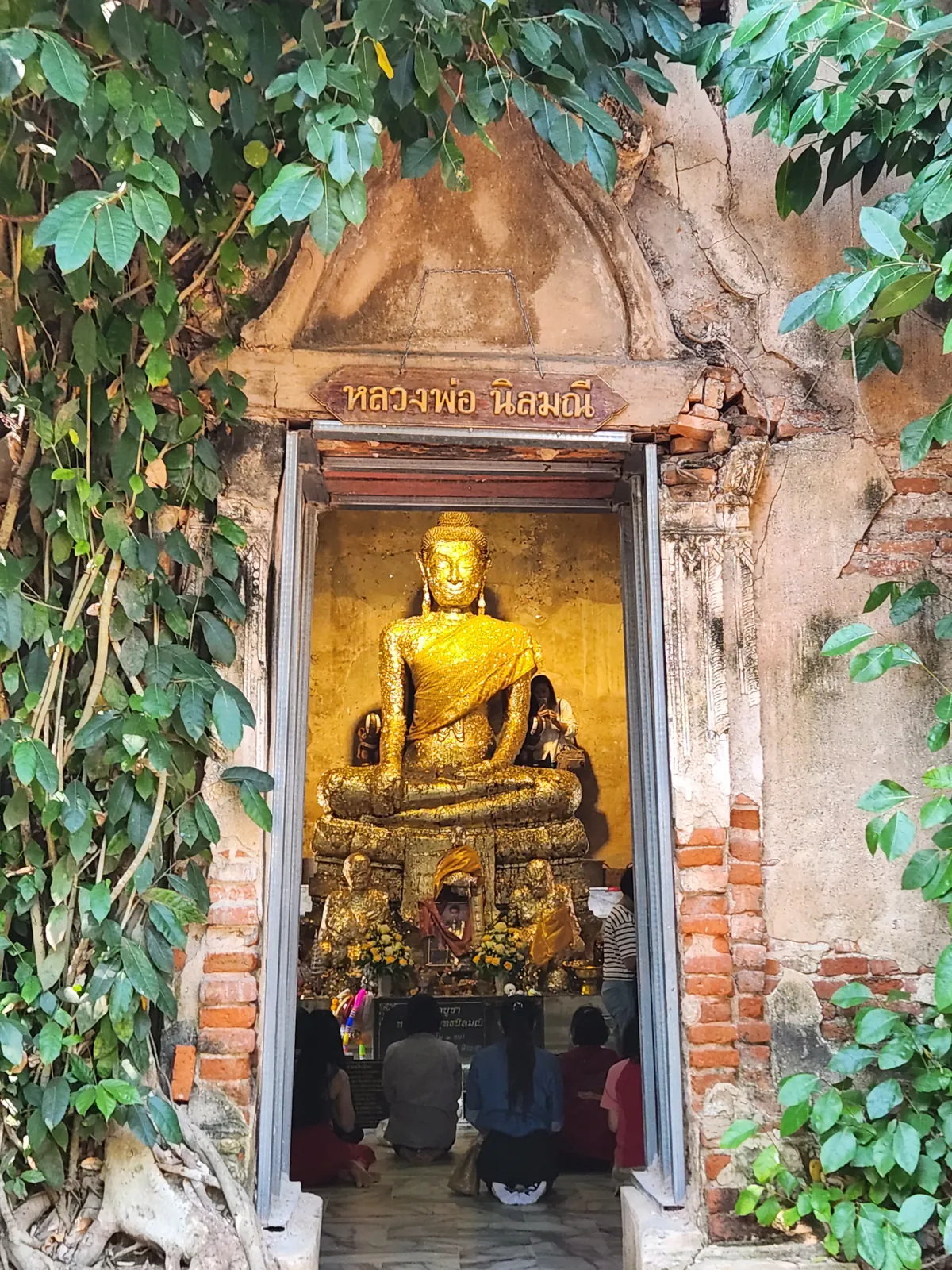 Wat Bang Kung 樹中佛殿內的佛像
