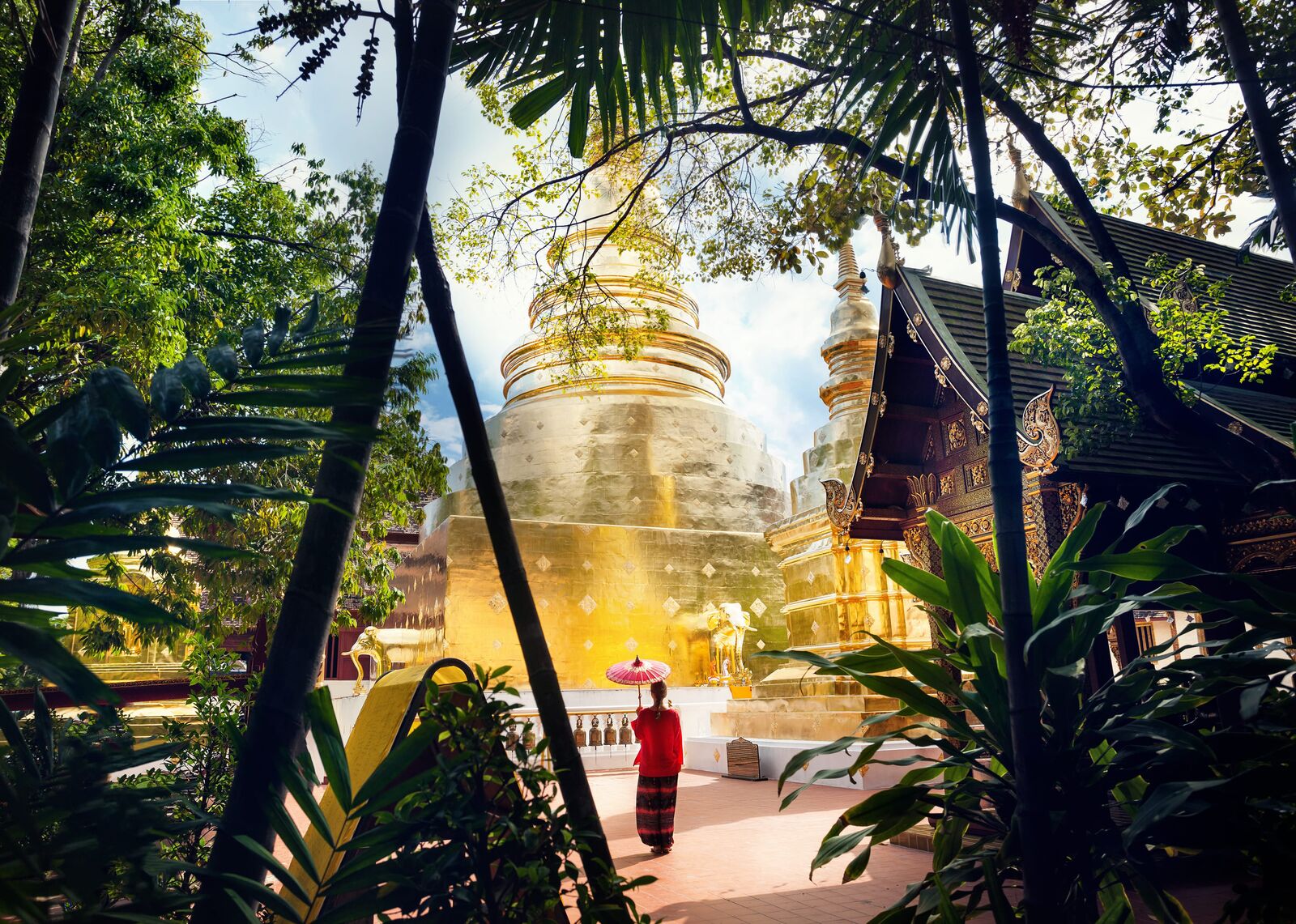 晨光穿過樹林照向清邁寺廟佛塔