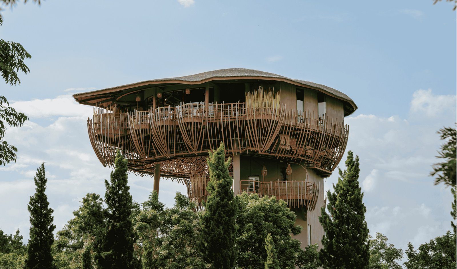 高聳的樹狀建築頂端是一圈竹編外牆的用餐空間，下方是一排綠色松樹
