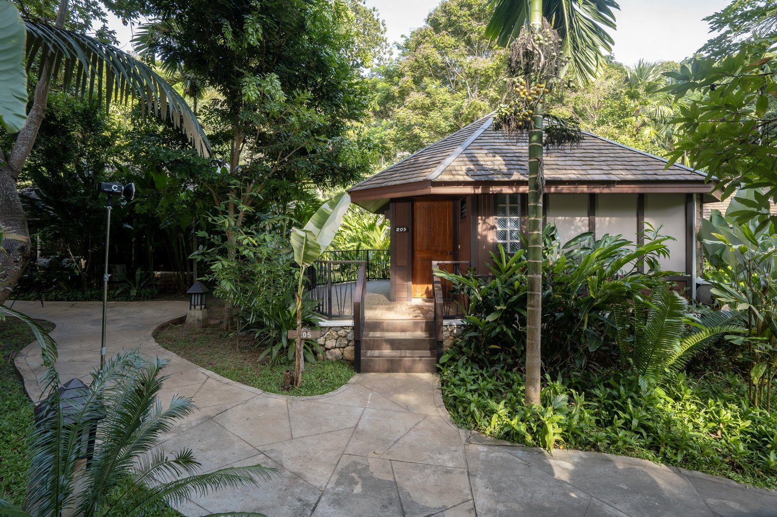 石板步道穿過綠色草地與熱帶植物，通往一棟木造小屋