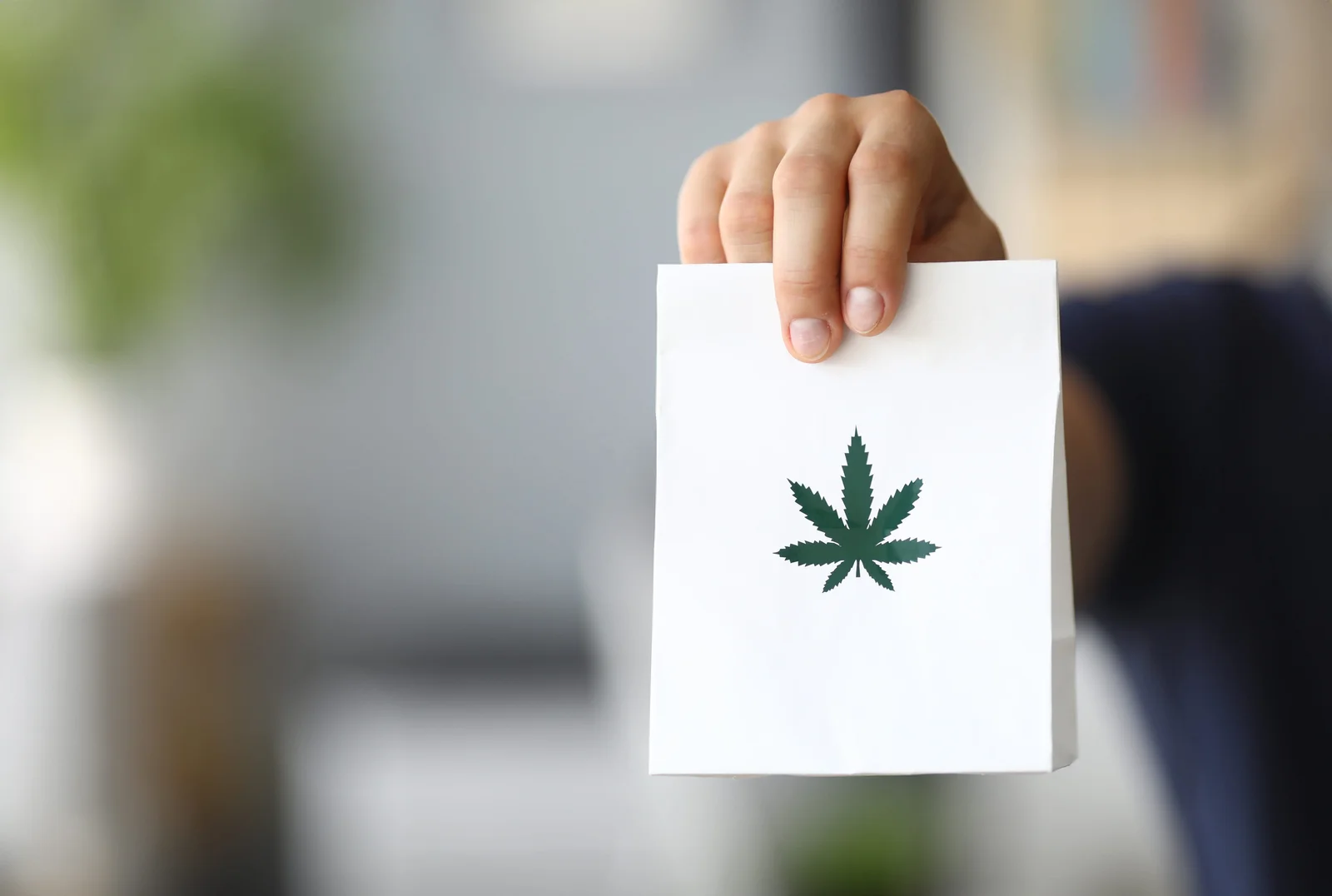旅客手提印有綠色大麻葉標誌紙袋，提醒自泰國返台前務必澈底清查行李